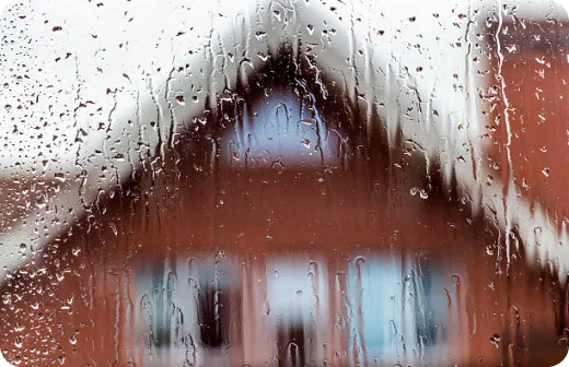 Waterproofing Services